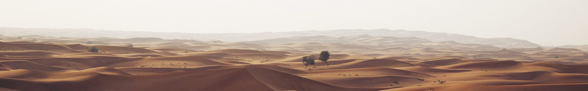 ɽаϢƼ޹˾